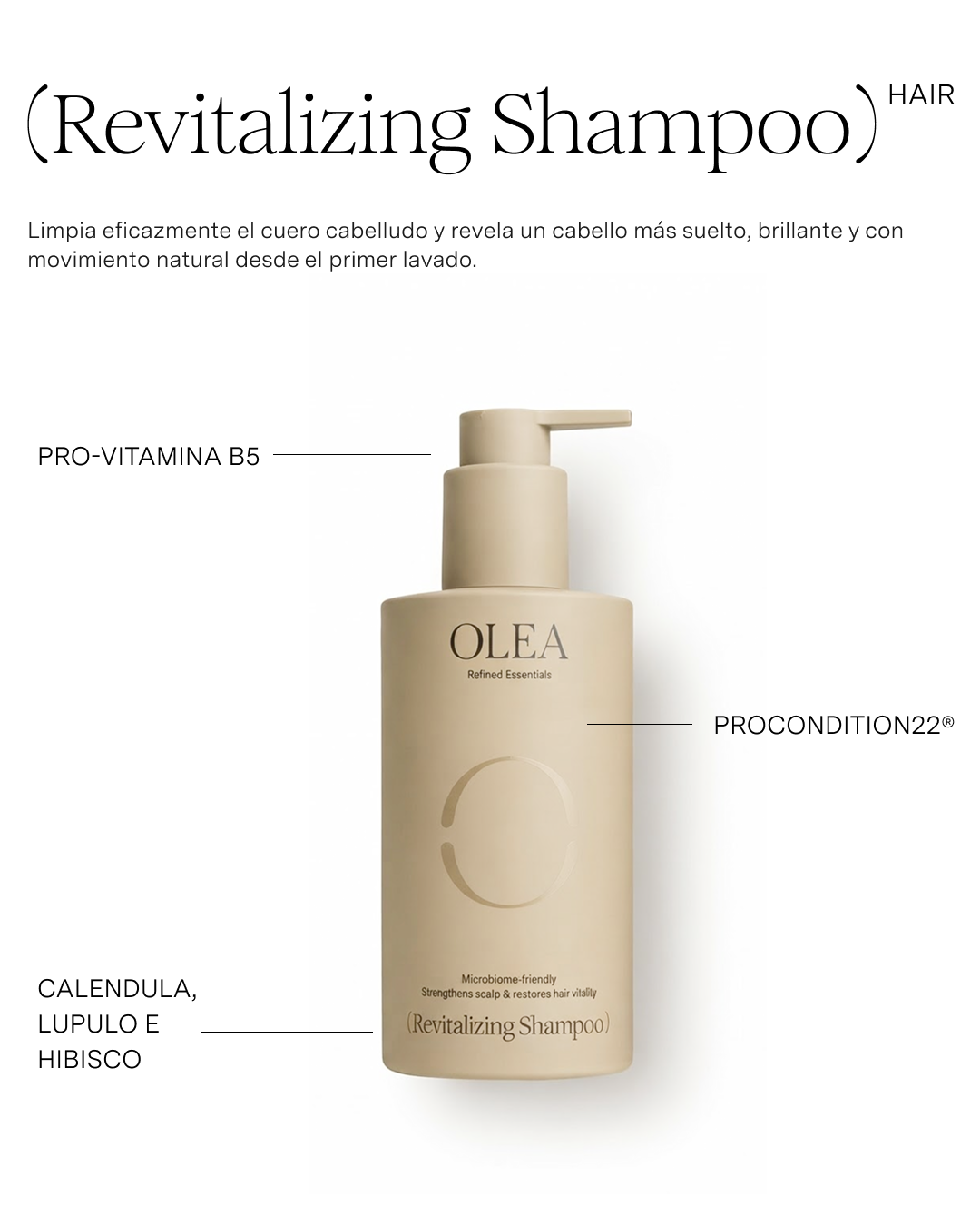 01. REVITALIZING SHAMPOO
